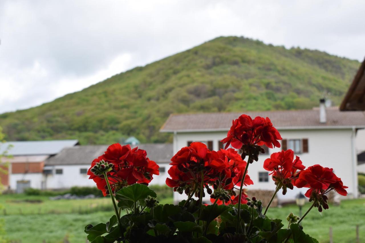 Casa Rural Galain Lizaso 外观 照片